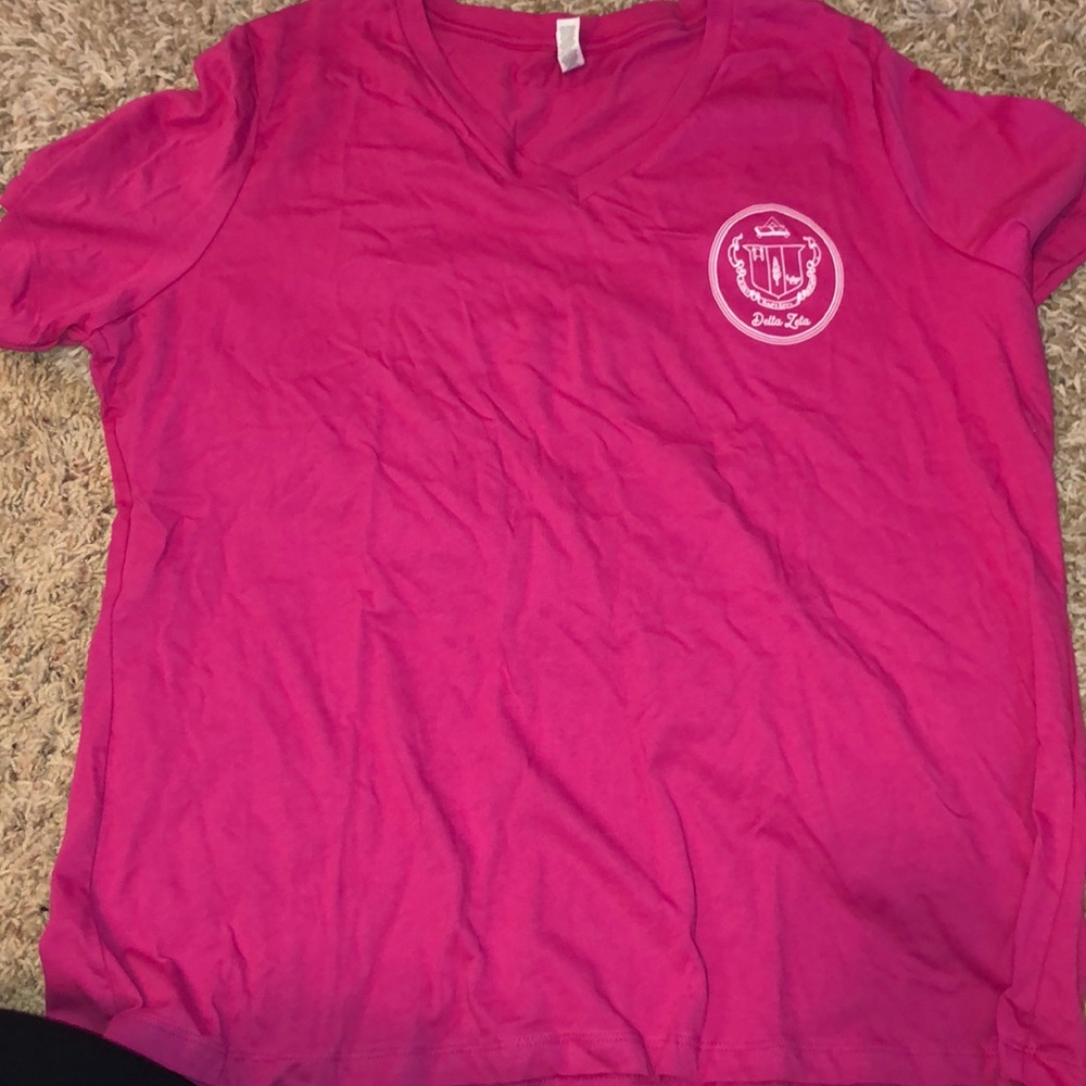 Delta zeta crest shirt